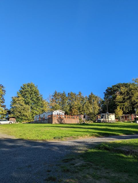 Grüne Wiese unter blauem Himmel
