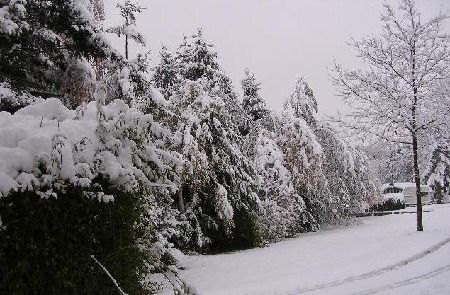 Winter auf dem Campingplatz